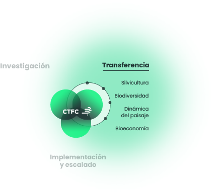 ambits_estrategia
