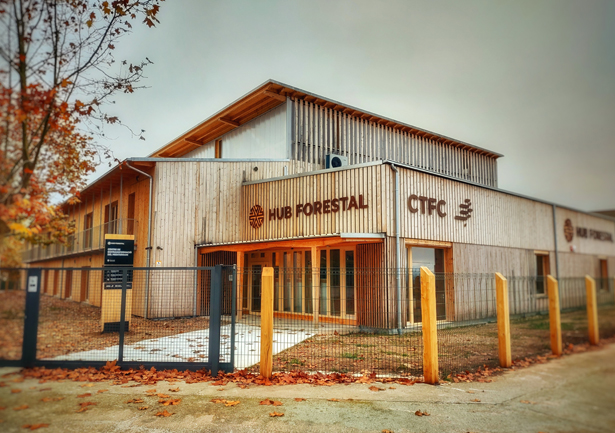 Hub Forestal 1
